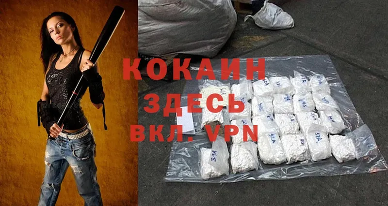 Cocaine Fish Scale  ОМГ ОМГ ссылка  Новотроицк 