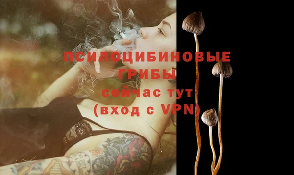 мдпв Остров
