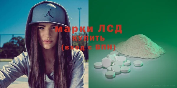 гашик Осташков