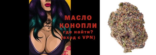 гашик Осташков