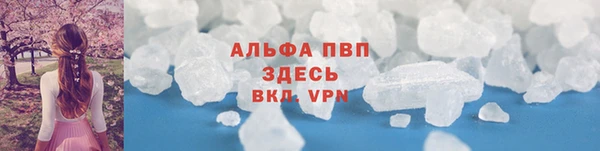 гашик Осташков