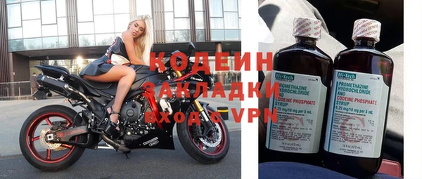 гашик Осташков