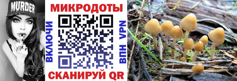 купить  сайты  ОМГ ОМГ ONION  Псилоцибиновые грибы Cubensis  Новотроицк 