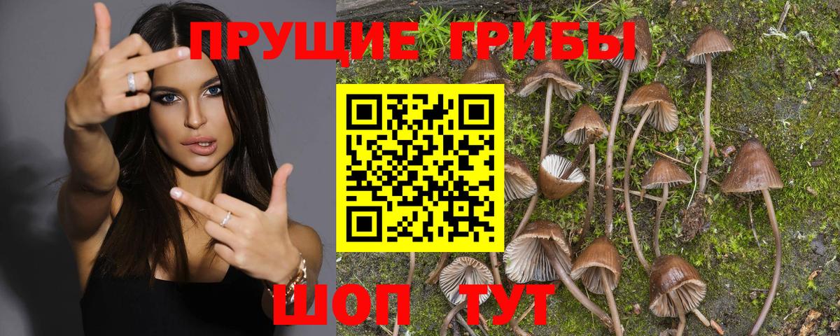 Галлюциногенные грибы мицелий Новотроицк