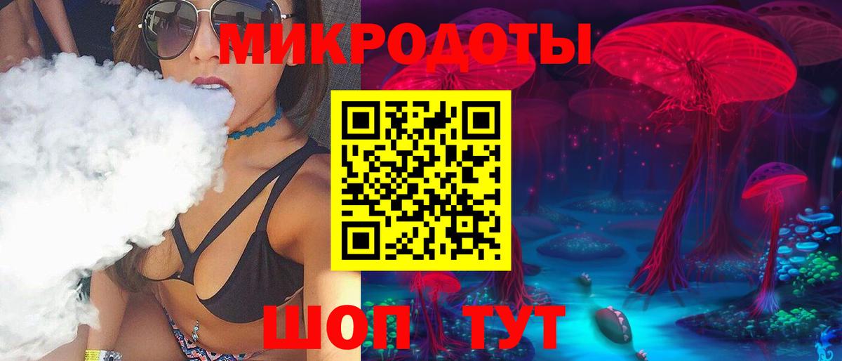 Псилоцибиновые грибы Psilocybe  Новотроицк  купить  цена  Псилоцибиновые грибы мицелий 