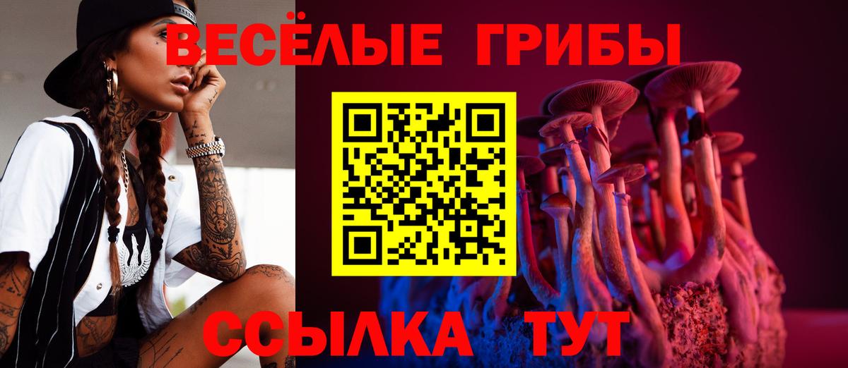 Галлюциногенные грибы Psilocybe  Вход с VPN  Галлюциногенные грибы прущие грибы  Новотроицк 